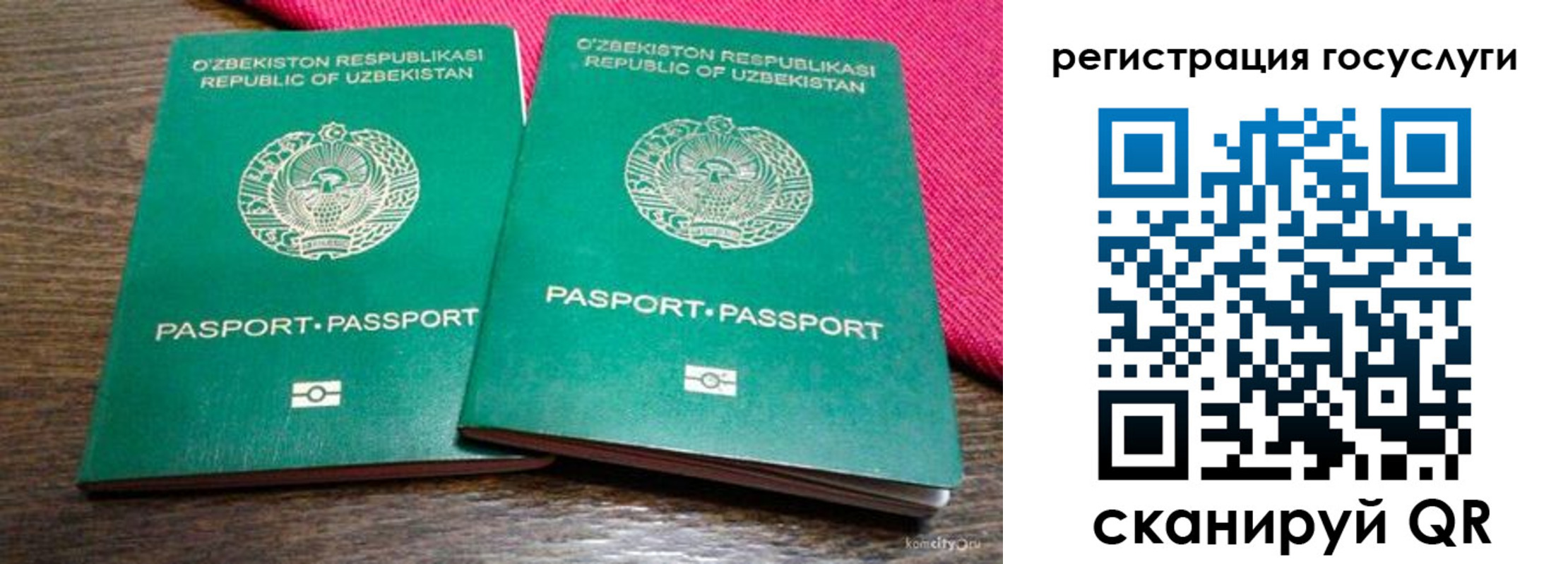 временная регистрация поиск в Чкаловске